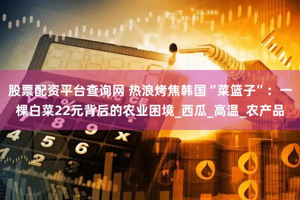 股票配资平台查询网 热浪烤焦韩国“菜篮子”：一棵白菜22元背后的农业困境_西瓜_高温_农产品
