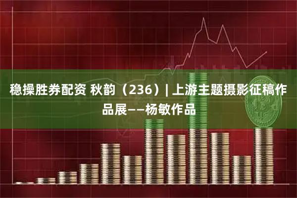 稳操胜券配资 秋韵（236）| 上游主题摄影征稿作品展——杨敏作品