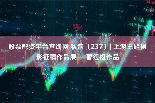 股票配资平台查询网 秋韵（237）| 上游主题摄影征稿作品展——曹红祖作品